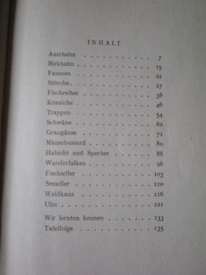 Kinderbuch Die großen Schwingen - Jugendbuchverlag  1952 in Vogelsdorf