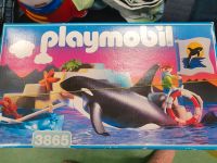 Playmobil Wal 3865 vollständig Schwertwal Orca Unterwasserwelt Schleswig-Holstein - Hörup Vorschau