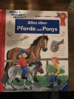 Alles über Pferde und Ponys Rvensburger Nordrhein-Westfalen - Krefeld Vorschau