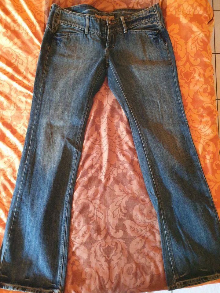 freemann t.porter Jeans in Königsberg i. Bayern