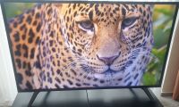 50 Zoll Fernseher, Smart TV, 4K Ultra HD, HDR 10✳️Neuwertig✅ Hessen - Weilmünster Vorschau