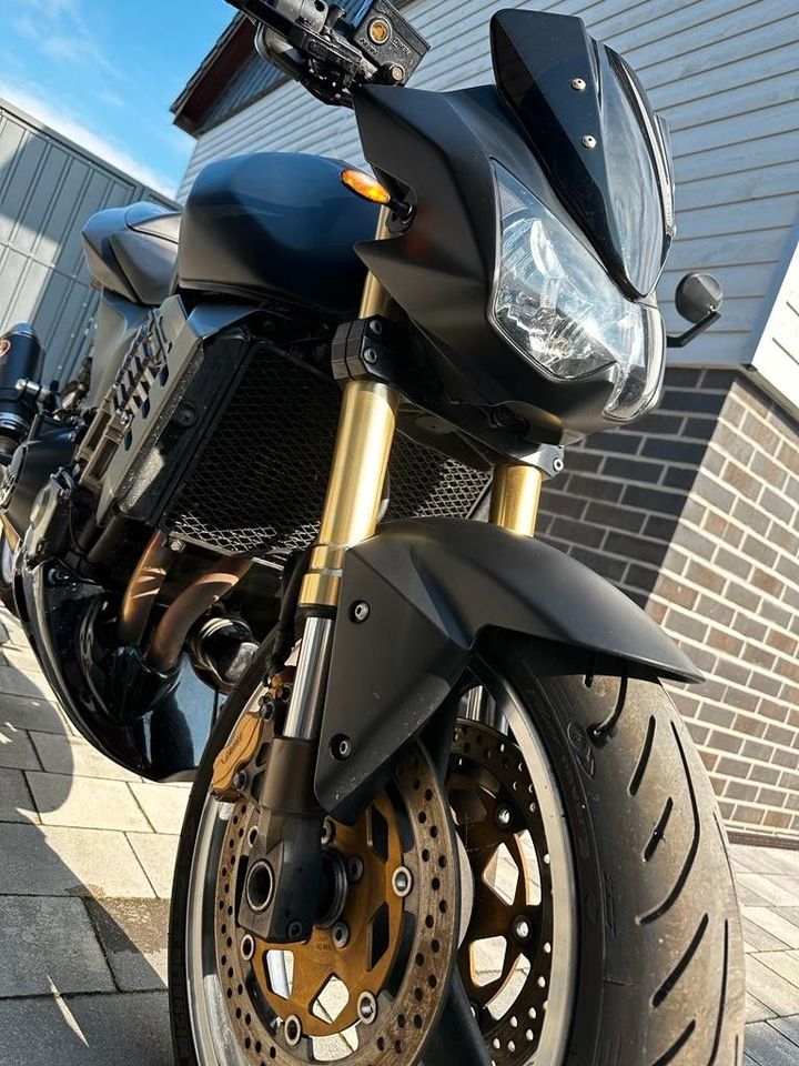 Kawasaki Z1000 in Heideblick