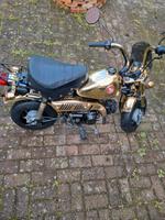 Original Honda Monkey Z50J  Gold Limited Edition Kreis Pinneberg - Barmstedt Vorschau