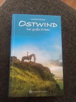 Buch Ostwind der große Orkan Baden-Württemberg - Lahr (Schwarzwald) Vorschau