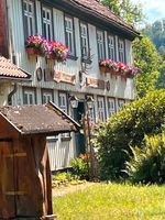 FeWo Ferienwohnung mit Hund altes Forsthaus Bad Lauterberg Harz Niedersachsen - Bad Lauterberg im Harz Vorschau