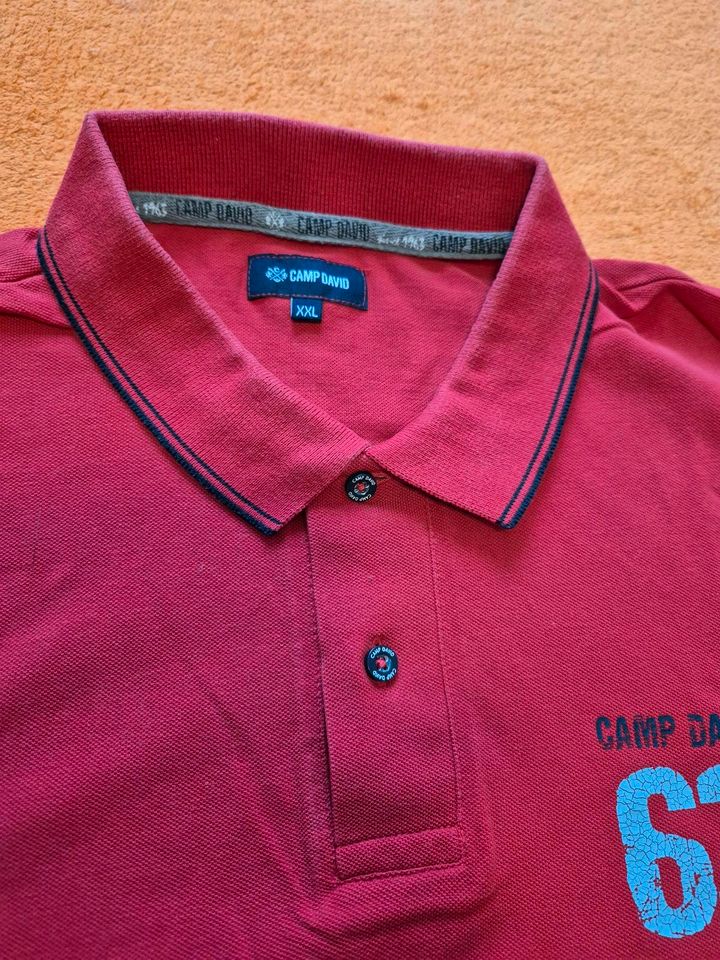 Camp David Poloshirt in Marienberg