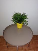 Ikea Fejka Topfpflanze, künstlich, inkl. Übertopf Scheurich, gelb Bonn - Duisdorf Vorschau