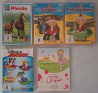 DVD Set Sandmännchen, Lillifee, Disney Junior, Pferde Was ist Was Hessen - Wettenberg Vorschau