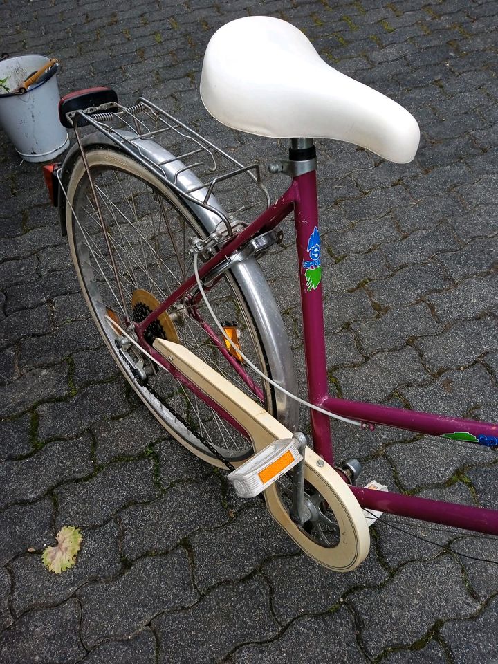 Tausche Pinkes Fahrrad in Rauschenberg