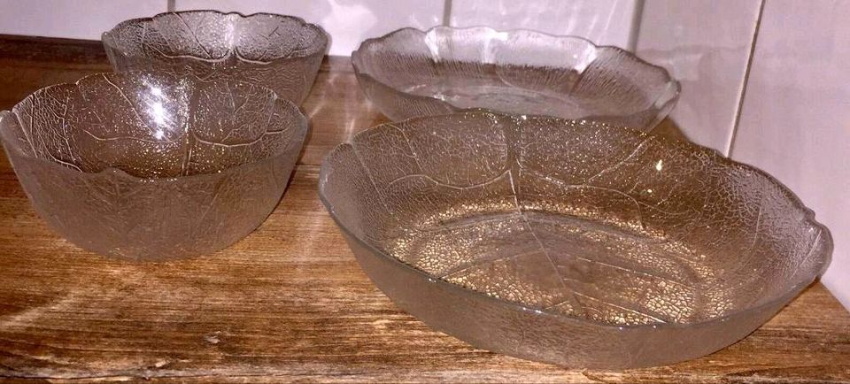 2x Arcoroc LUMINARC ASPEN Vintage Glasschalen Blätter Relief 2er in Berlin