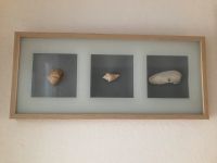 Ikea Bilderrahmen 72x32 3D mit Muscheln aus Florida Niedersachsen - Hemmingen Vorschau