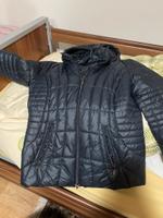 Jacken, Damenjacke, Markenjacke, Gr. L, 42, 44 Nordrhein-Westfalen - Rietberg Vorschau