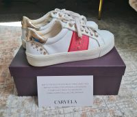 Carvela Sneaker white Größe 38 Feldmoching-Hasenbergl - Feldmoching Vorschau