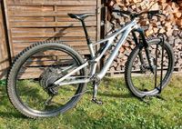 Fahrrad Enduro Fully Specialized Stumpjumper 2019  29 Zoll Dresden - Klotzsche Vorschau