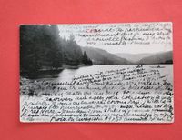 Alte Postkarte AK 1905 Titisee Baden-Württemberg - Gailingen am Hochrhein Vorschau