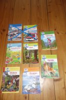 6 gr Pixi Bücher Benny Blu Wissen Fahrrad Wald Pirat Ostern Hunde Hessen - Kassel Vorschau