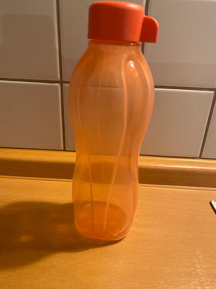 Tupperware EcoEasy Trinkflasche, 500ml, orange (lachs) in Frankfurt am Main