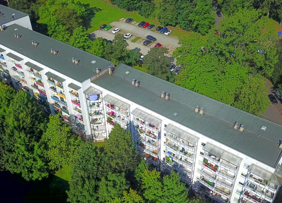 den Frühling im neuen Zuhause genießen - Wohnen nähe Stadtpark - mit Einbauküche + Südbalkon! in Chemnitz