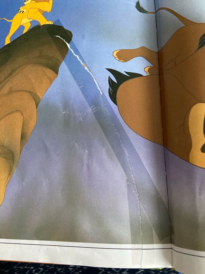 Disney Bücher Der König der Löwen +Bambi in Niederkassel