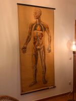 Schautafel, Lehrtafel, Hygiene Museum, Original, Körper, Anatomie Sachsen - Jahnsdorf Vorschau