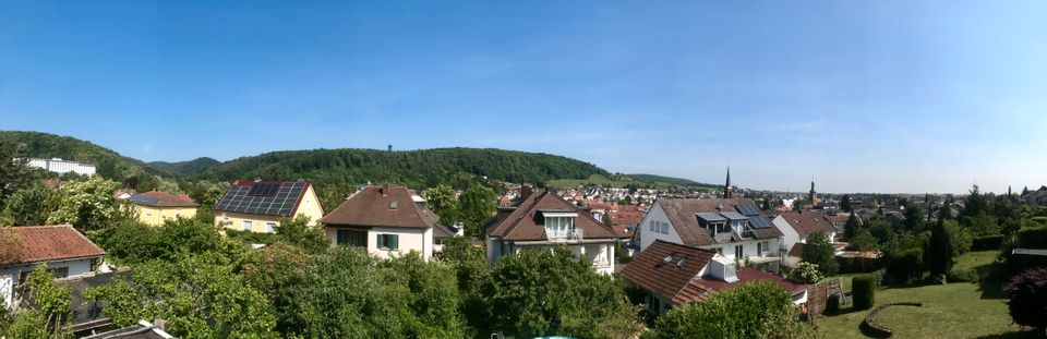 Freistehendes Haus in herrlichster Lage von Bad Bergzabern! in Bad Bergzabern