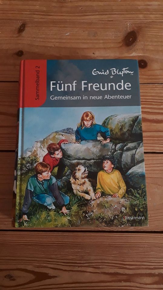 Fünf Freunde "Gemeinsam in neue Abenteuer" Sammelband 2 in Maisach