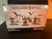 Warhammer - Age of Sigmar - Stormcast - Vanguard Raptors Hessen - Friedberg (Hessen) Vorschau