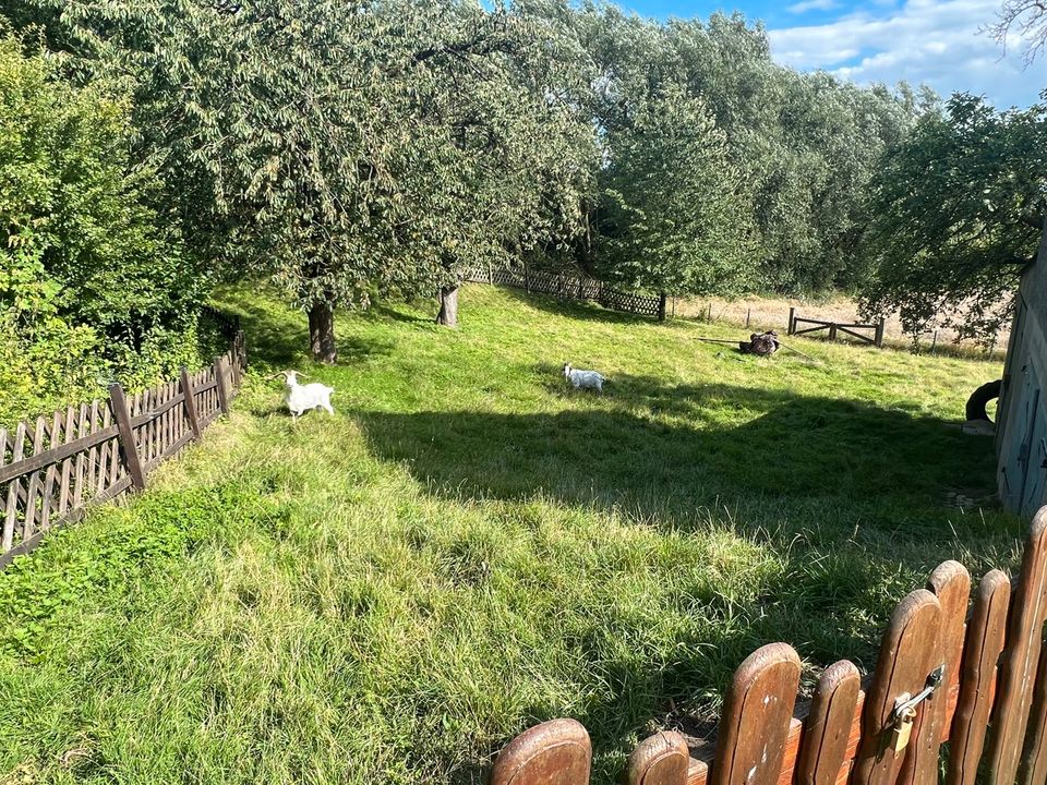 VERKAUFT: Heimwerkertraum - mit Garagen, Ponyweide und Ackerfläche in Wulferdingsen! in Bad Oeynhausen