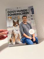 Martin Rütter DOGS Hundeführerschein Niedersachsen - Sassenburg Vorschau