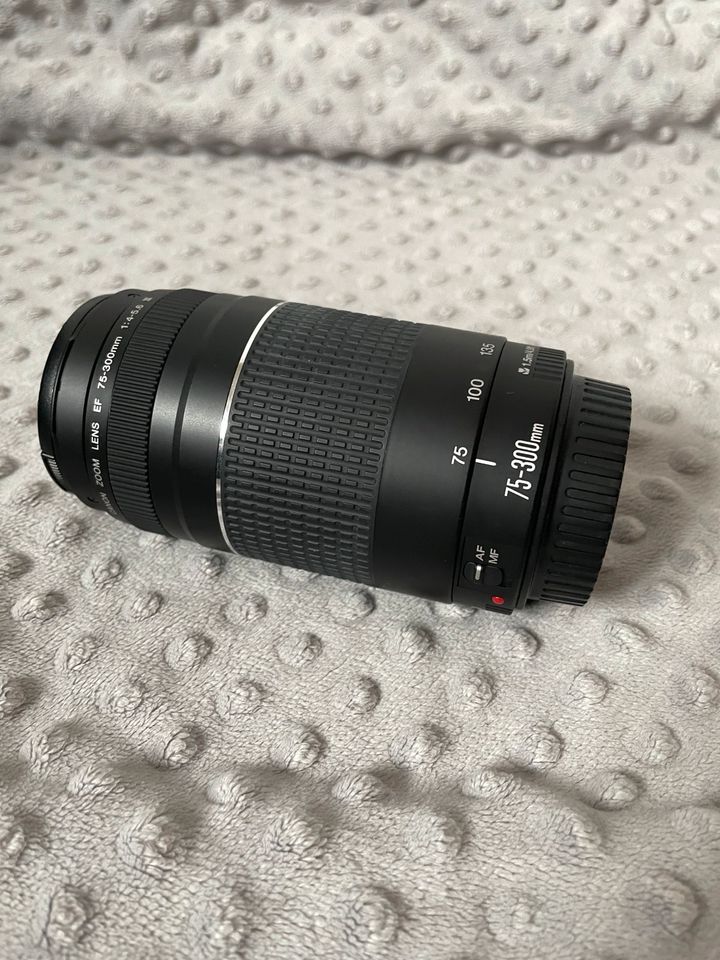 Canon Zoom Lens EF 75-300mm 1:4-5.6 III in Berlin