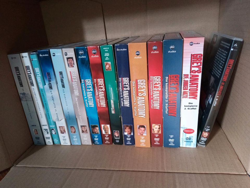 Grey's Anatomy DVD in Steinen