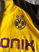 Borussia Dortmund Trikot Rheinland-Pfalz - Trier Vorschau