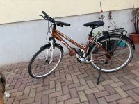 Fahrrad/ Trailrad Damen Winora Dakar Rheinland-Pfalz - Haßloch Vorschau