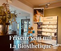 Friseur/in in Pirna gesucht Sachsen - Pirna Vorschau