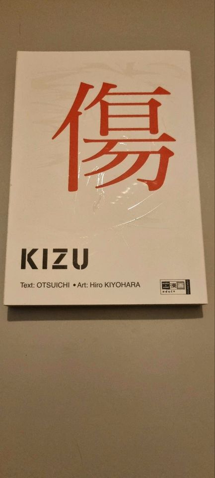 Manga Paket aus Sammlung 10 Stück in Jelmstorf