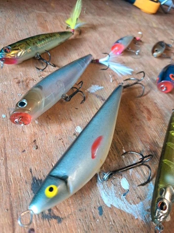 Konvolut Topwater Baits Lucky Craft Salmo Rapala angeln Köder in Brokstedt