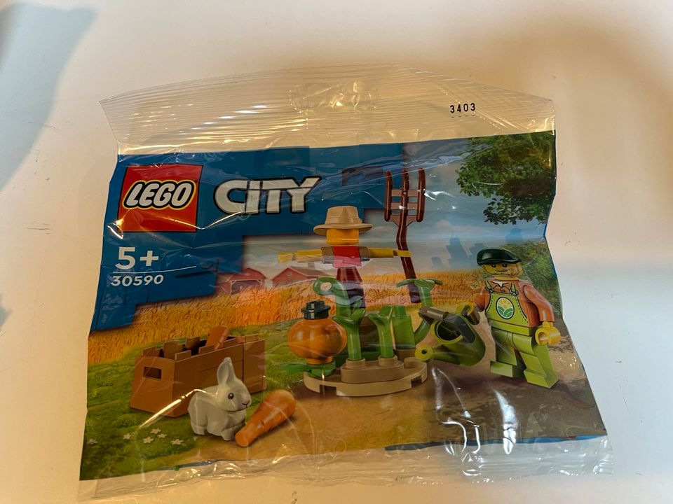 Lego Set verschieden 76907 , 30590, 60107, 60207, 42148 in Radebeul