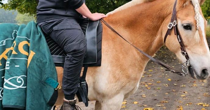 Reitpad Leder spanisch in Bernau