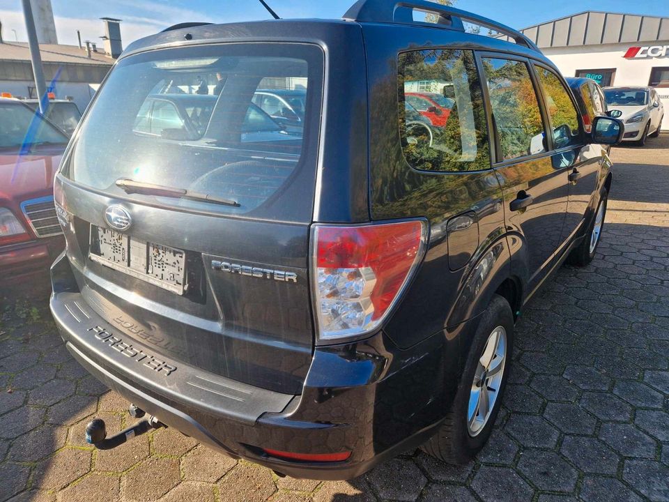 Subaru Forester 2.0X Edition Automatik in Norderstedt