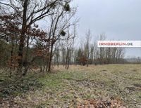 Interessantes Grundstück in verkehrsgünstiger Lage beim Ortszentrum Brandenburg - Trebbin Vorschau