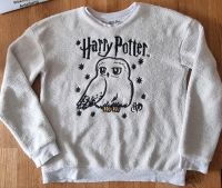 Harry Potter Pullover Gr. 158/164 Sachsen - Pesterwitz Vorschau