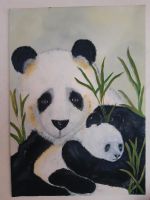 Großes Bild auf Der Panda Bör Niedersachsen - Wunstorf Vorschau