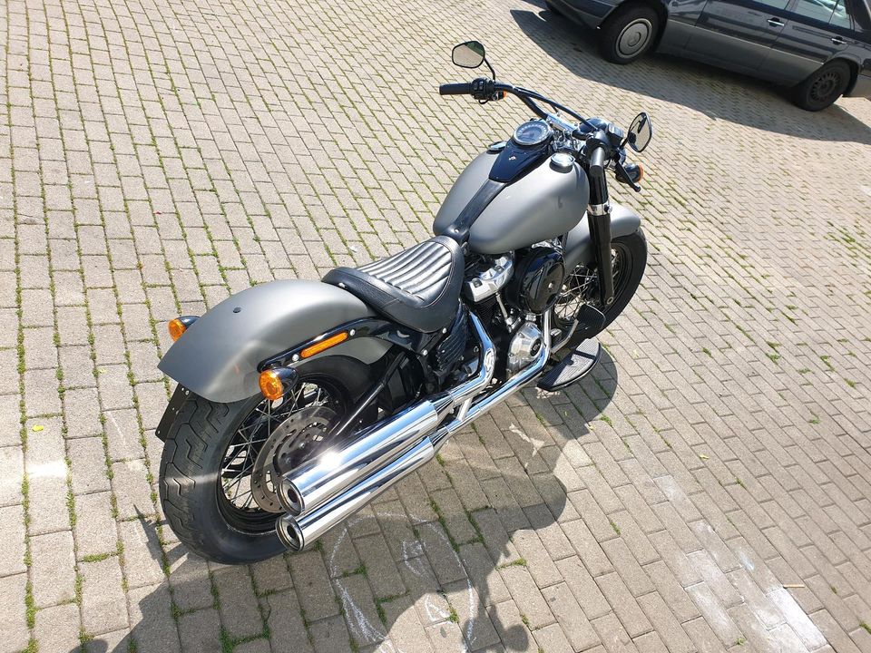 Harley-Davidson Slim / EZ.2020 / 107cui / 12tkm / FLS / Softail in Deckenpfronn