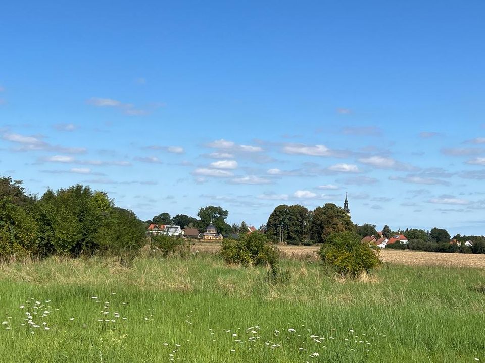 Baue deine Wohnträume östlich von Halle in Queis