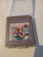 Nintendo Game Boy Classic Spiel Dennis inkl Case Hannover - Döhren-Wülfel Vorschau