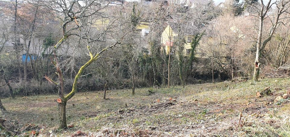 Bauplatz, Grundstück, Bauland, Neubaugebiet in Obermoschel