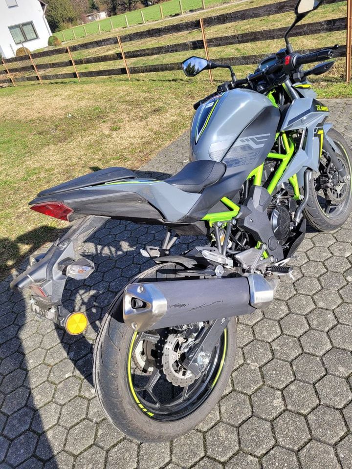 Kawasaki Z125 - TOP Zustand! in Memmingerberg