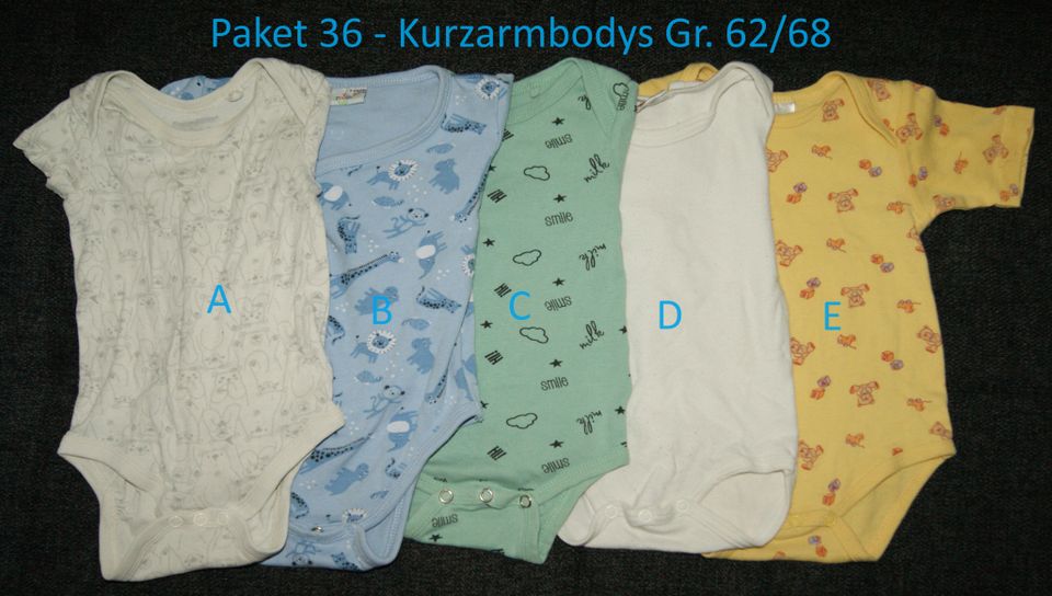 Kleiderpaket 36 - Kurzarmbodys in Gr. 62/68 in Rödermark