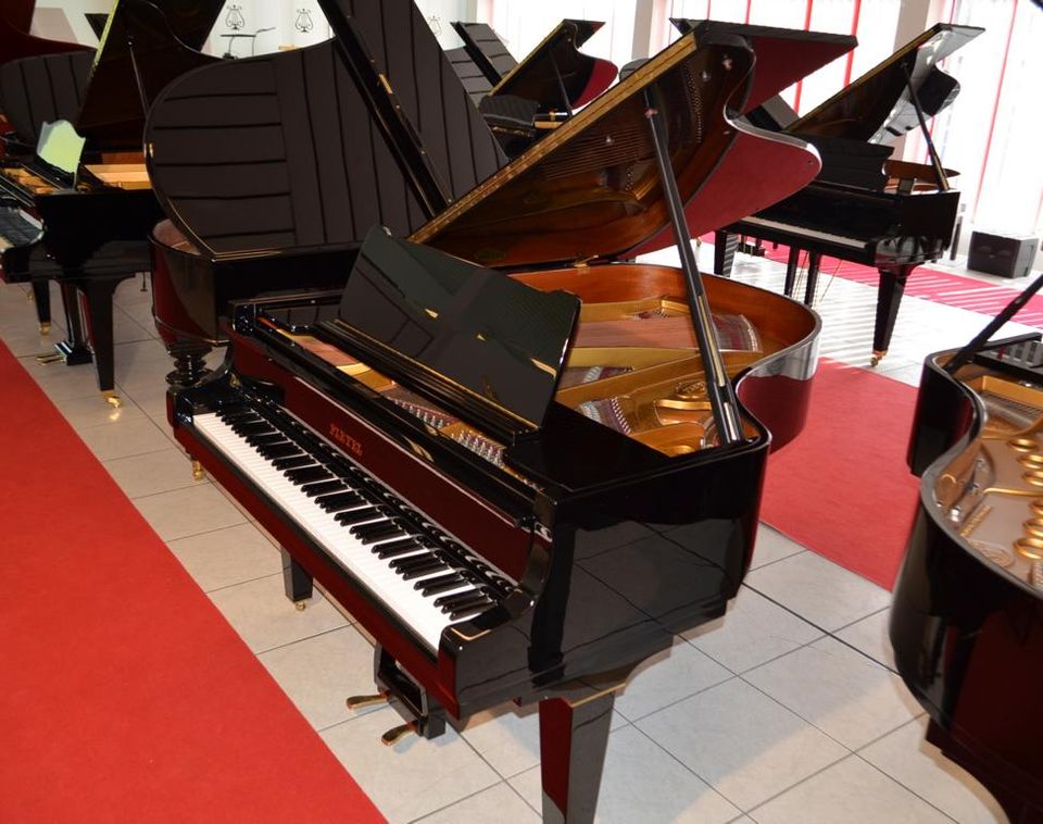 Schimmel Flügel Modell Pleyel Modell 175 in Michelau i. OFr.