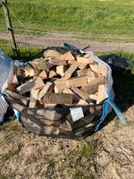 Buchenholz Brennholz/Feuerholz/Kaminholz frisch Niedersachsen - Drochtersen Vorschau